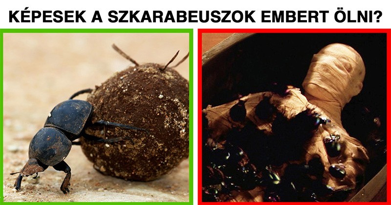 11 gyerekes kérdés, amire mindig is tudni akartad a választ, de sosem merted megkérdezni