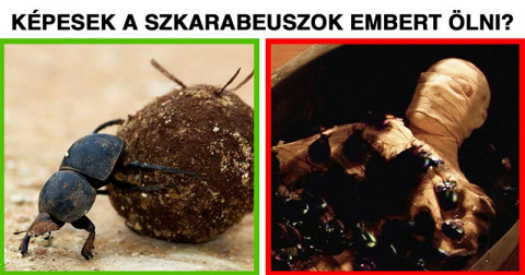 11 gyerekes kérdés, amire mindig is tudni akartad a választ, de sosem merted megkérdezni