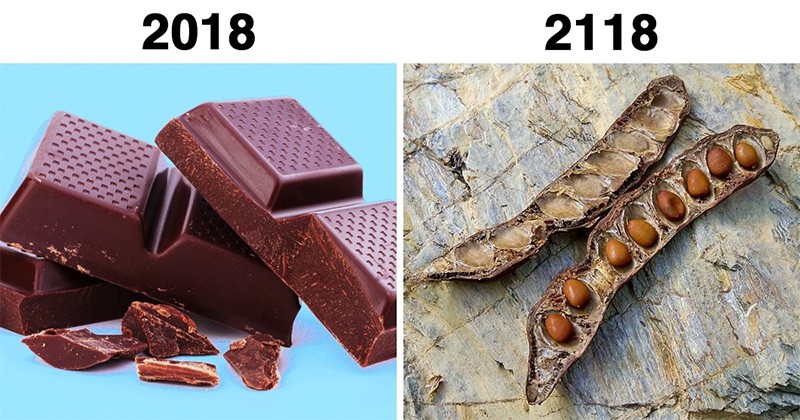 10 népszerű dolog, ami 100 év múlva valószínűleg teljesen eltűnik az életünkből