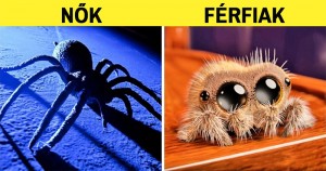 12 szemléletes példa, ami feltárja a férfi és a női logika közti különbségeket