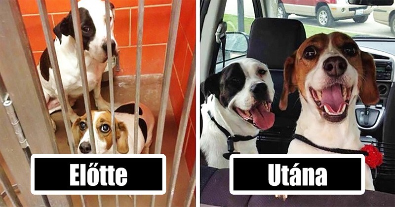 17 fotó, ami lerántja a leplet arról, hogy milyen is az igazi boldogság