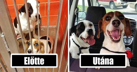 17 fotó, ami lerántja a leplet arról, hogy milyen is az igazi boldogság