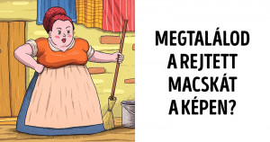 12 kép rejtett részletekkel, amivel letesztelheted a megfigyelőképességed