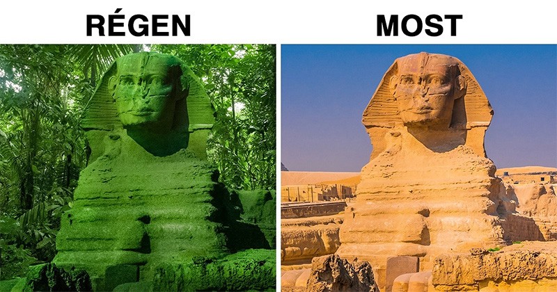 14 izgalmas érdekesség, amit a National Geographic műsorokból tanult meg a világ