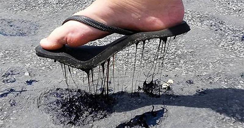 20 őrült fotó, ami bizonyítja, hogy Ausztrália mindenki számára kihívás