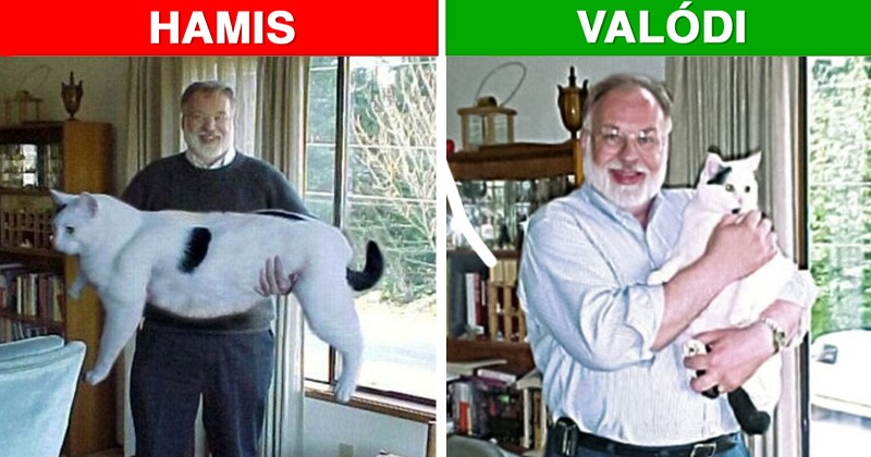 14 népszerű fotó, amiről kiderült, hogy csak ügyes hamisítvány