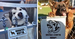 17 vérszomjas fenevad a “Vigyázz, a kutya harap” táblák mögött