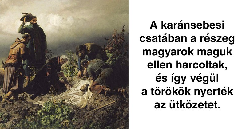 15 őrült tény, amire a Wikipédia cikkek között bukkantunk