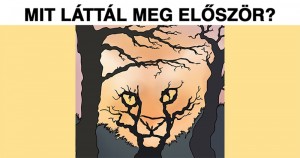 Az első kép, amit meglátsz, felfedi, hogy mire vágysz leginkább