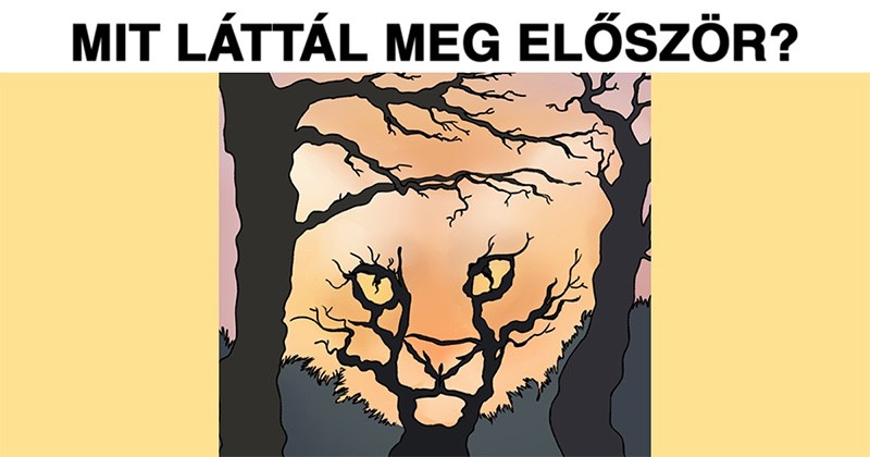 Az első kép, amit meglátsz, felfedi, hogy mire vágysz leginkább
