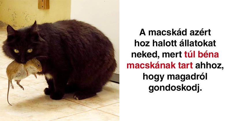 24 Érdekes Tény, Ami Után Teljesen Más Szemmel Nézel Majd A Világra