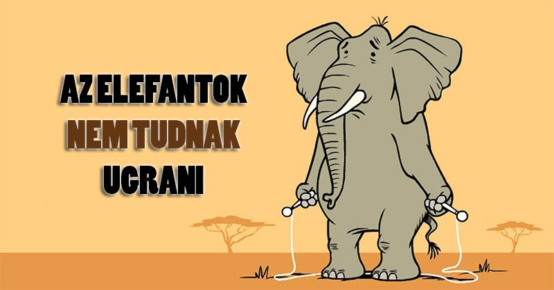 14 érdekes tény az állatvilágból, amit eddig talán még Te sem tudtál