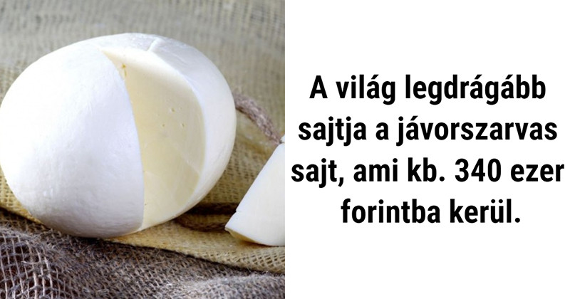 Íme a világ 10 legdrágább étele, melynek ára majdnem többe kerül, mint a fizetésed