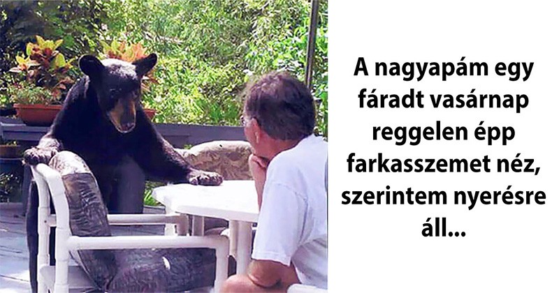 15 belevaló nagyfater, akinél menőbb soha az életben nem leszel