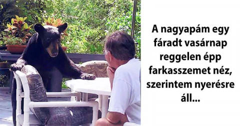 15 belevaló nagyfater, akinél menőbb soha az életben nem leszel