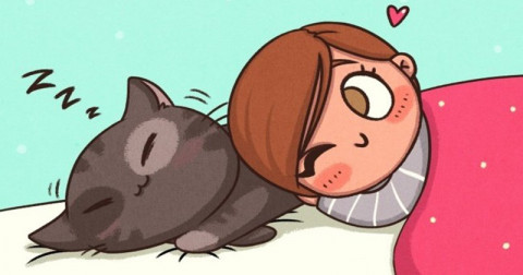 13 aranyos rajz arról, amit mindnyájan csinálunk házi kedvenceinkkel, de sosem beszélünk róla